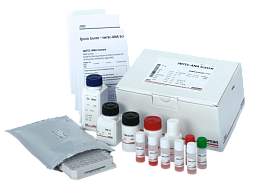 Аутоиммунная диагностика